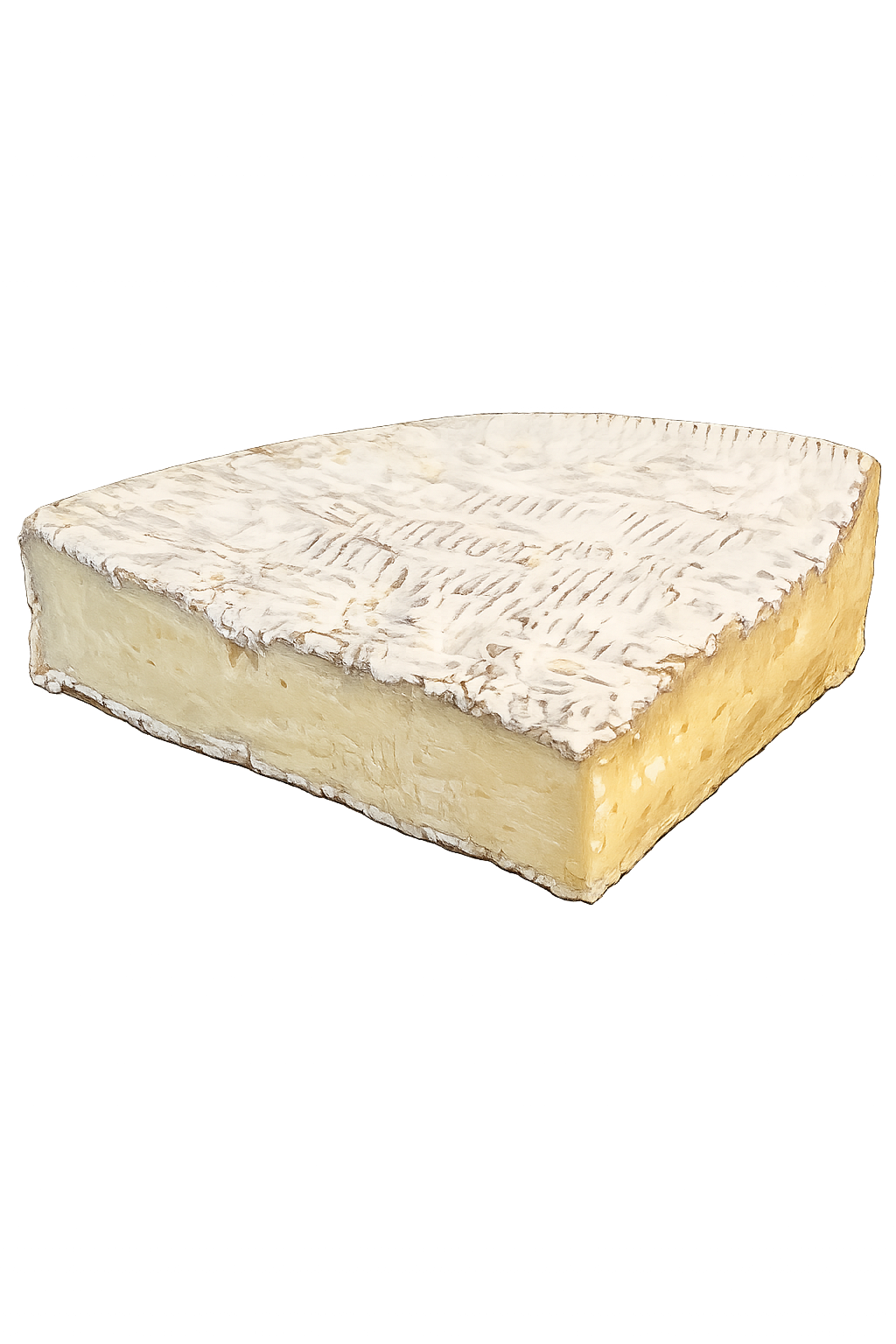 Camembert AOP Grand Réo