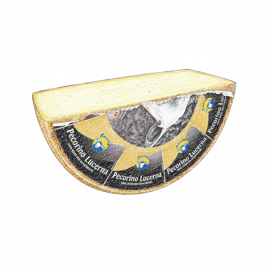 Pecorino Lucerna quadratisch